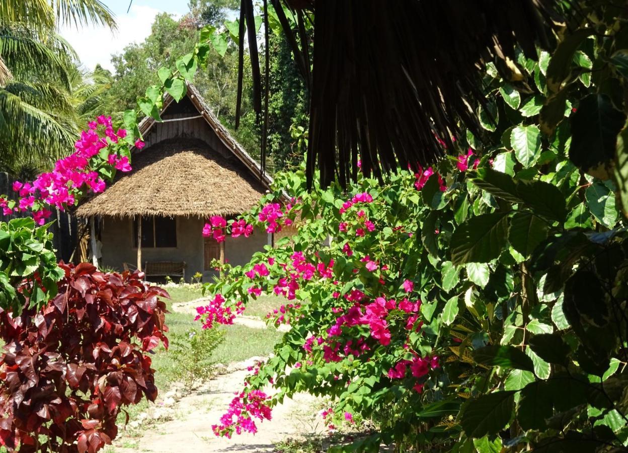 Jabar Lodge Zanzibar Kültér fotó