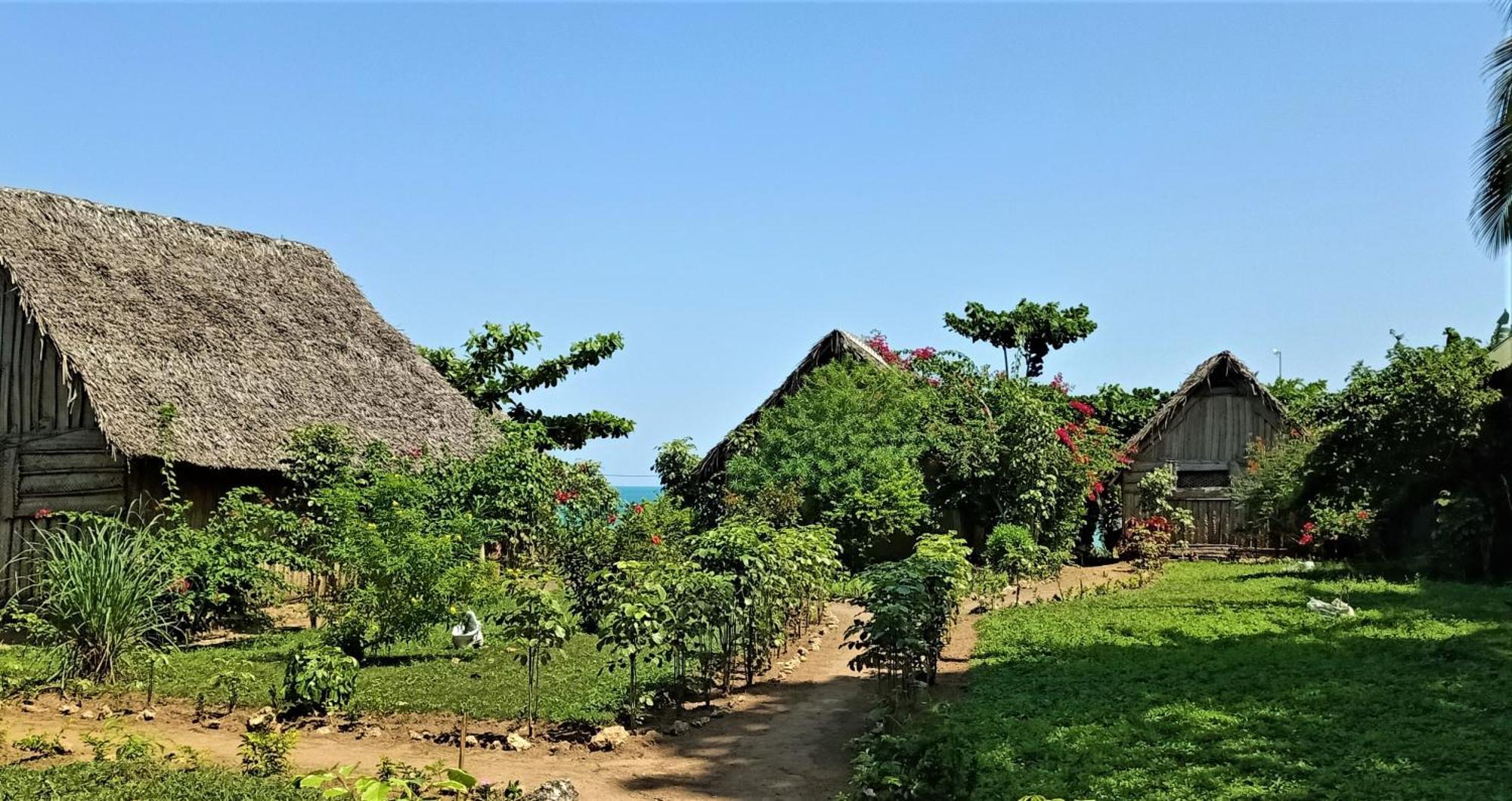 Jabar Lodge Zanzibar Kültér fotó